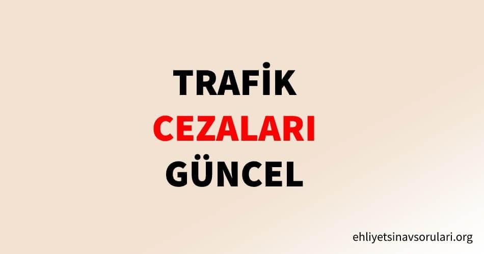 Trafik Cezaları 2025